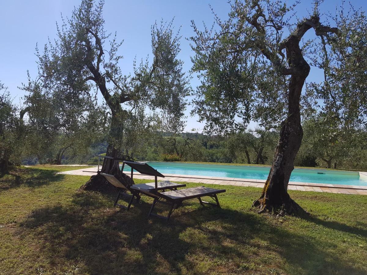 Agriturismo Le Querce Палайя Екстер'єр фото