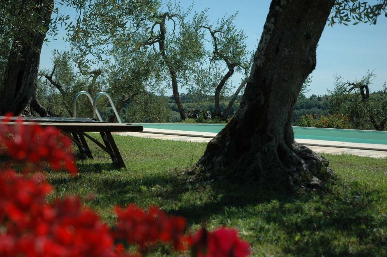Agriturismo Le Querce Палайя Екстер'єр фото